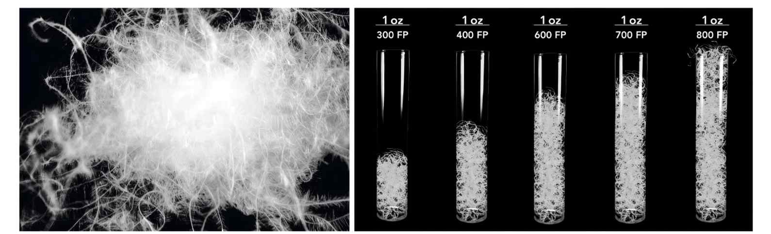 屏幕截图 2026-03-09 105301