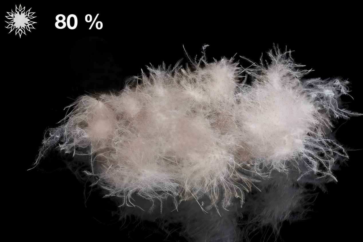 屏幕截图 2026-03-09 113222