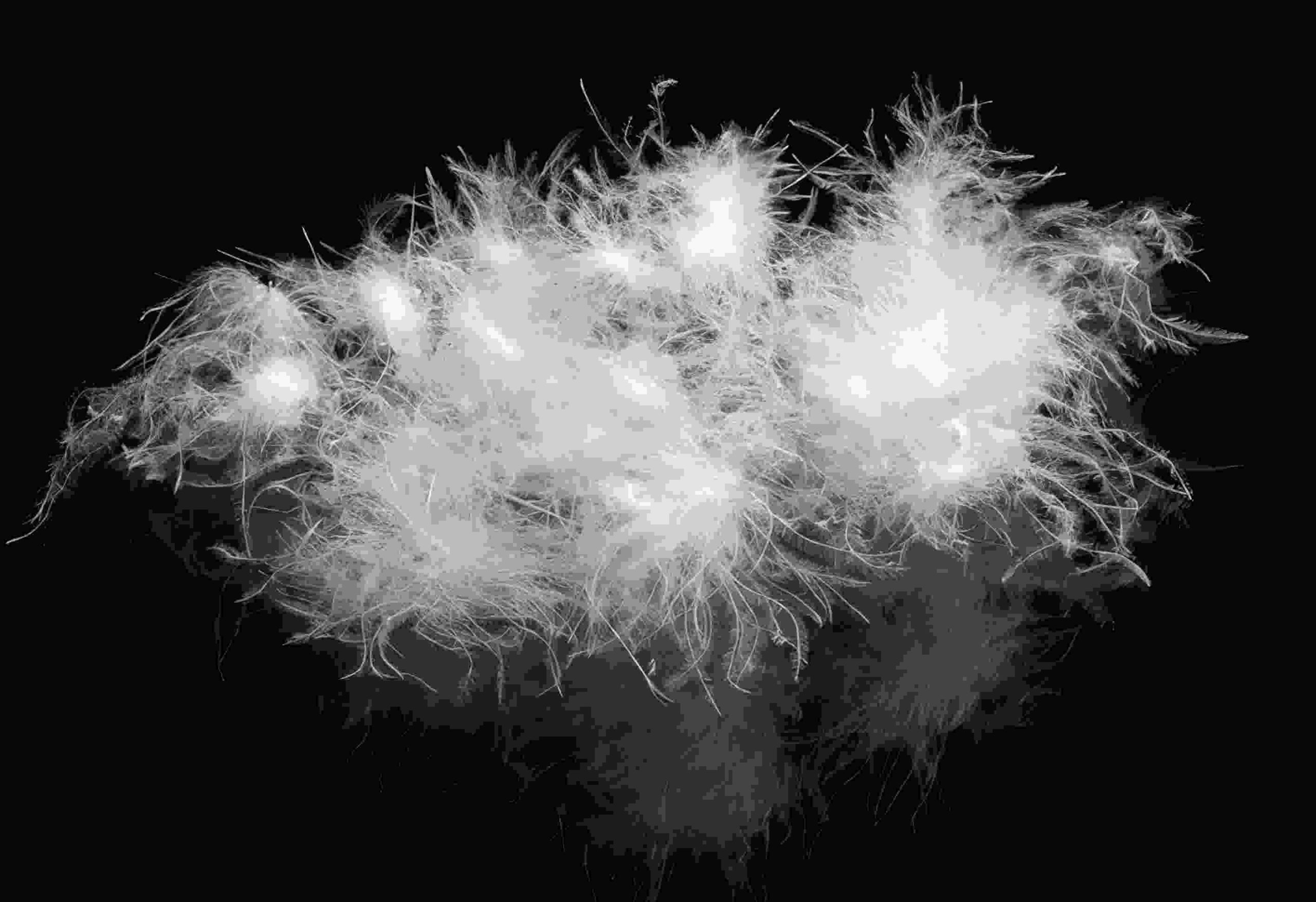 微信图片_20260309102743_131_22