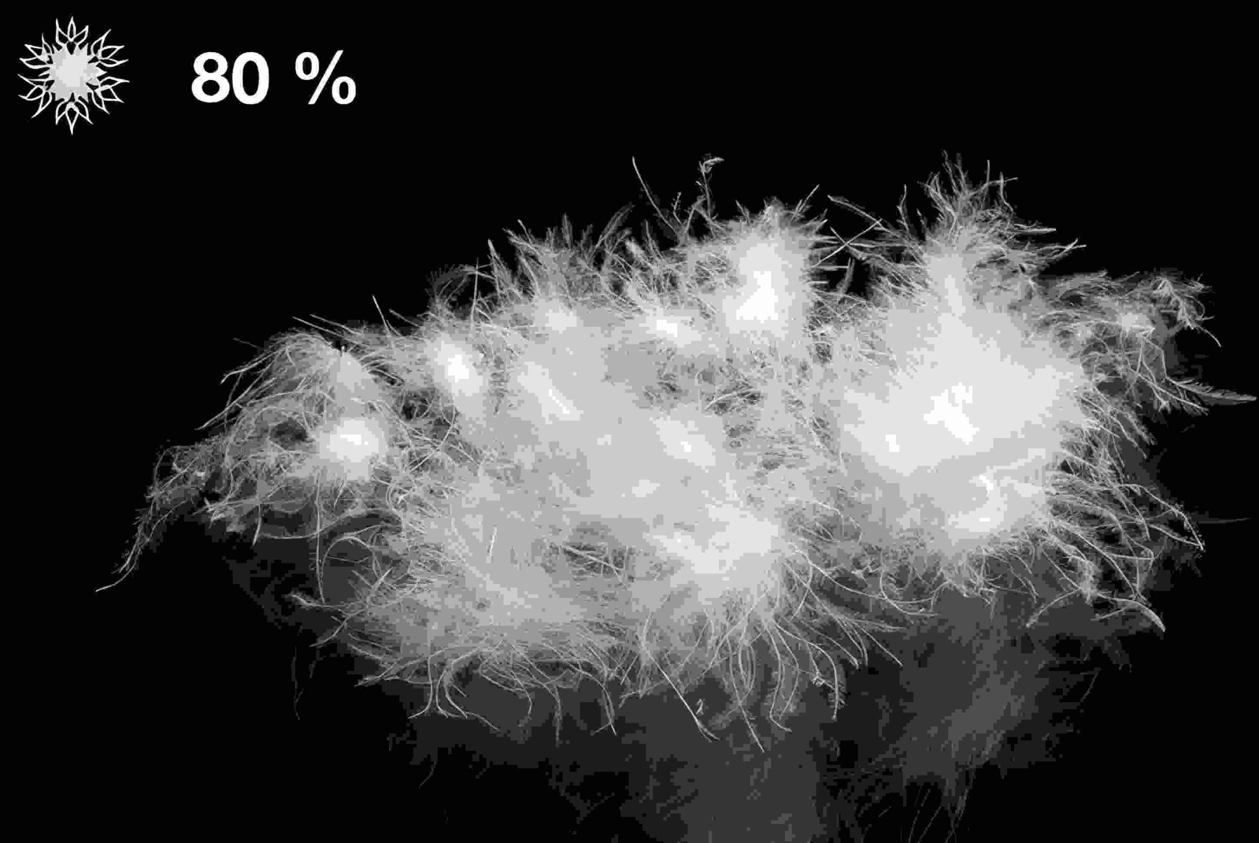 微信图片_20260309102745_133_22