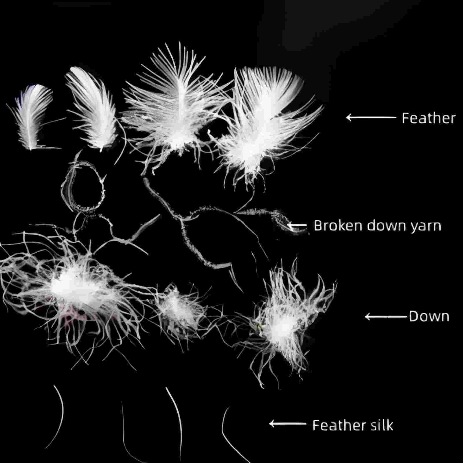 微信图片_20260309103134_139_22